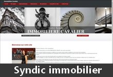  Site d'un syndic immobilier 
