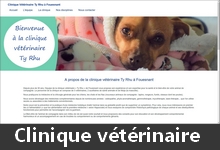  Site d'une clinique v�t�rinaire 