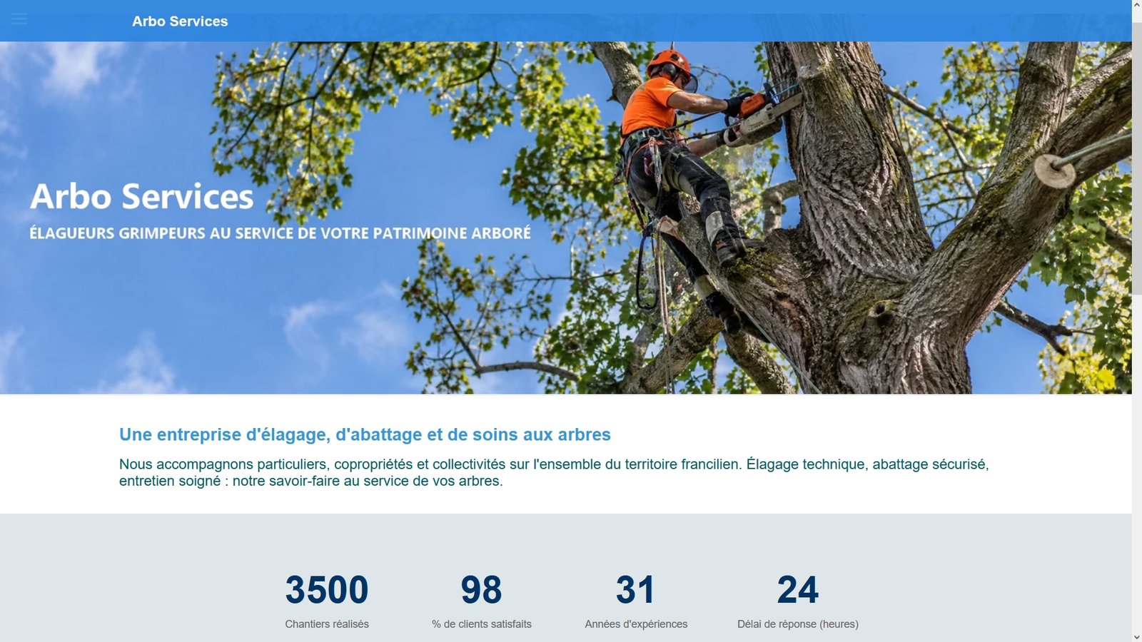 Site vitrine cr�� avec l'offre Rapido Web pour un artisan �lagueur