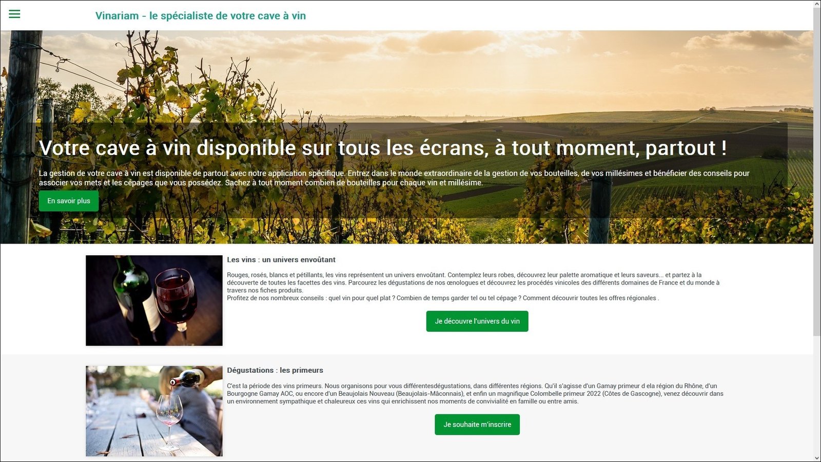 Site vitrine cr�� avec l'offre Rapido Web pour travailleur ind�pendant
